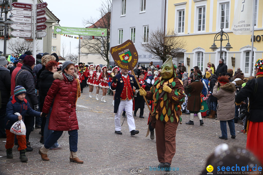 Narrensprung: Langenargen am Bodensee, 19.01.2014