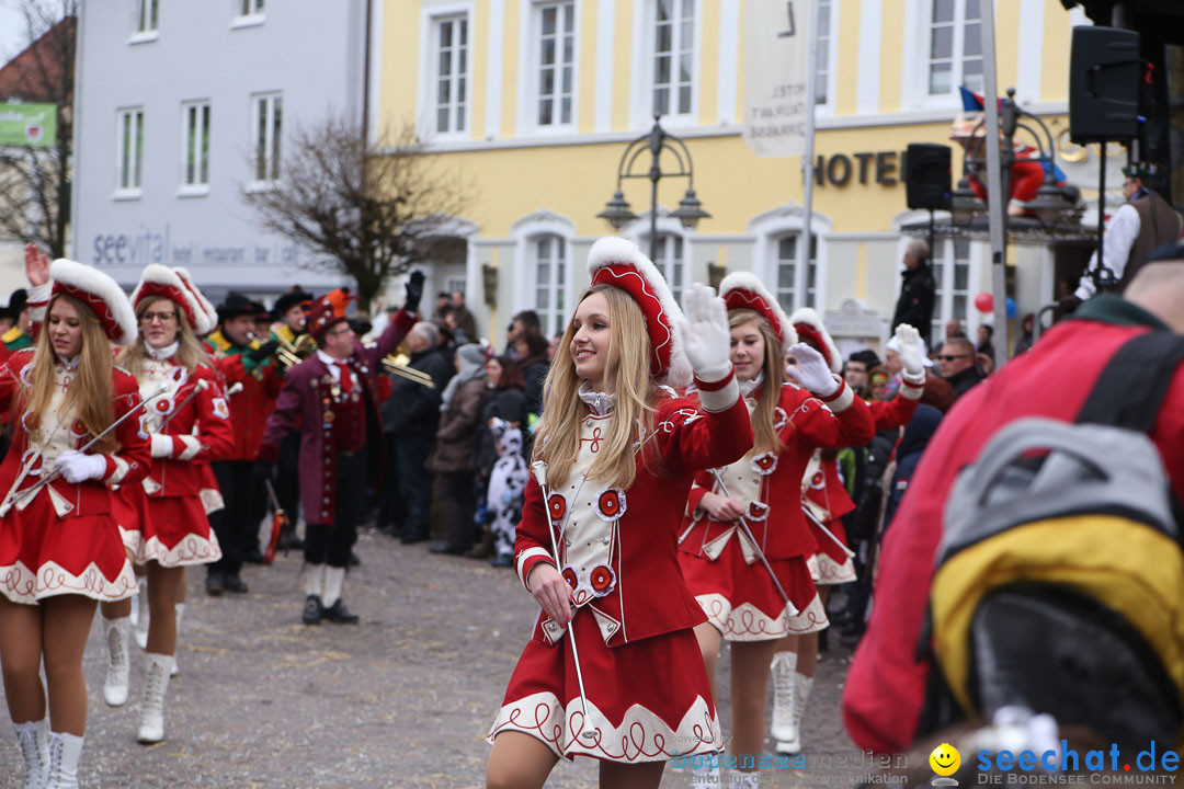 Narrensprung: Langenargen am Bodensee, 19.01.2014