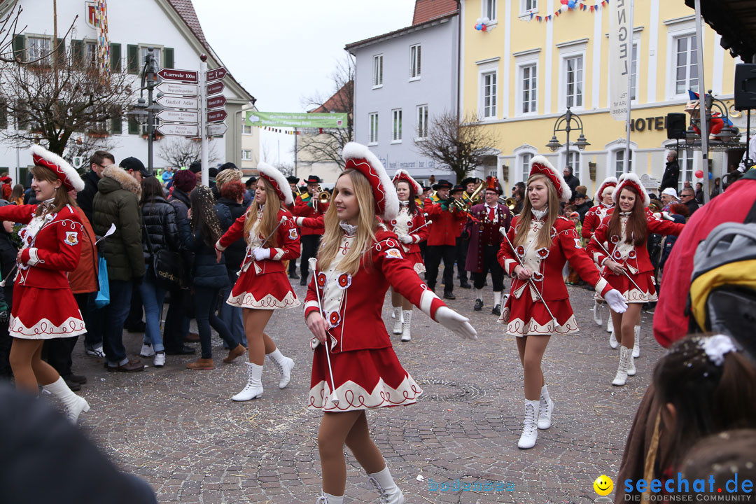 Narrensprung: Langenargen am Bodensee, 19.01.2014