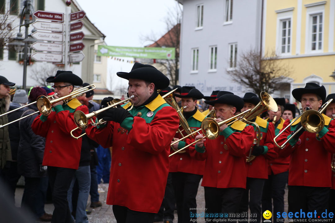 Narrensprung: Langenargen am Bodensee, 19.01.2014