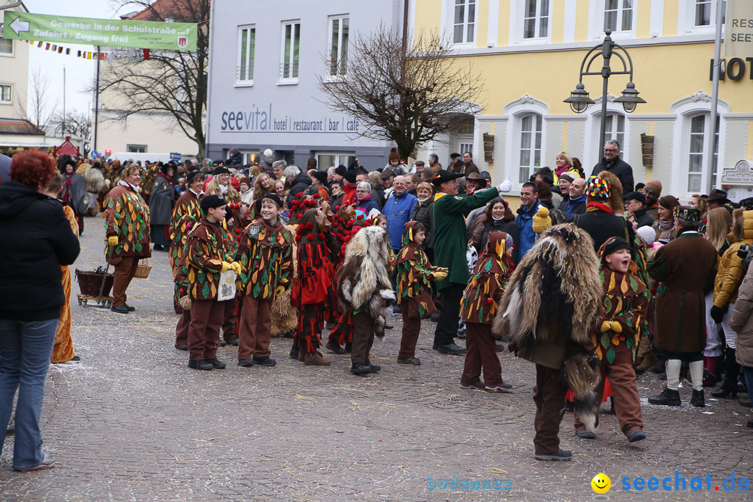 Narrensprung: Langenargen am Bodensee, 19.01.2014