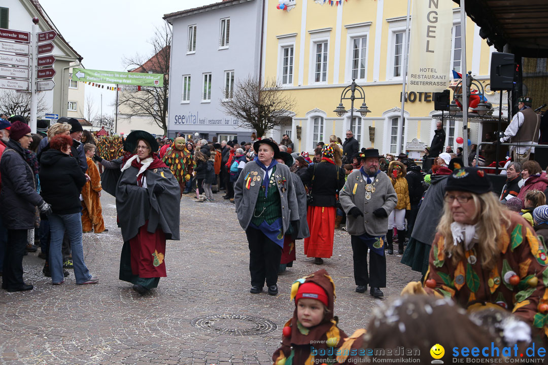 Narrensprung: Langenargen am Bodensee, 19.01.2014