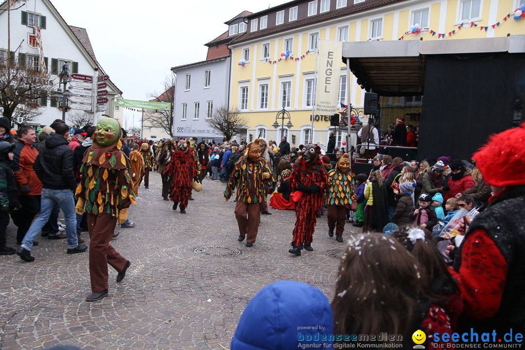 Narrensprung: Langenargen am Bodensee, 19.01.2014