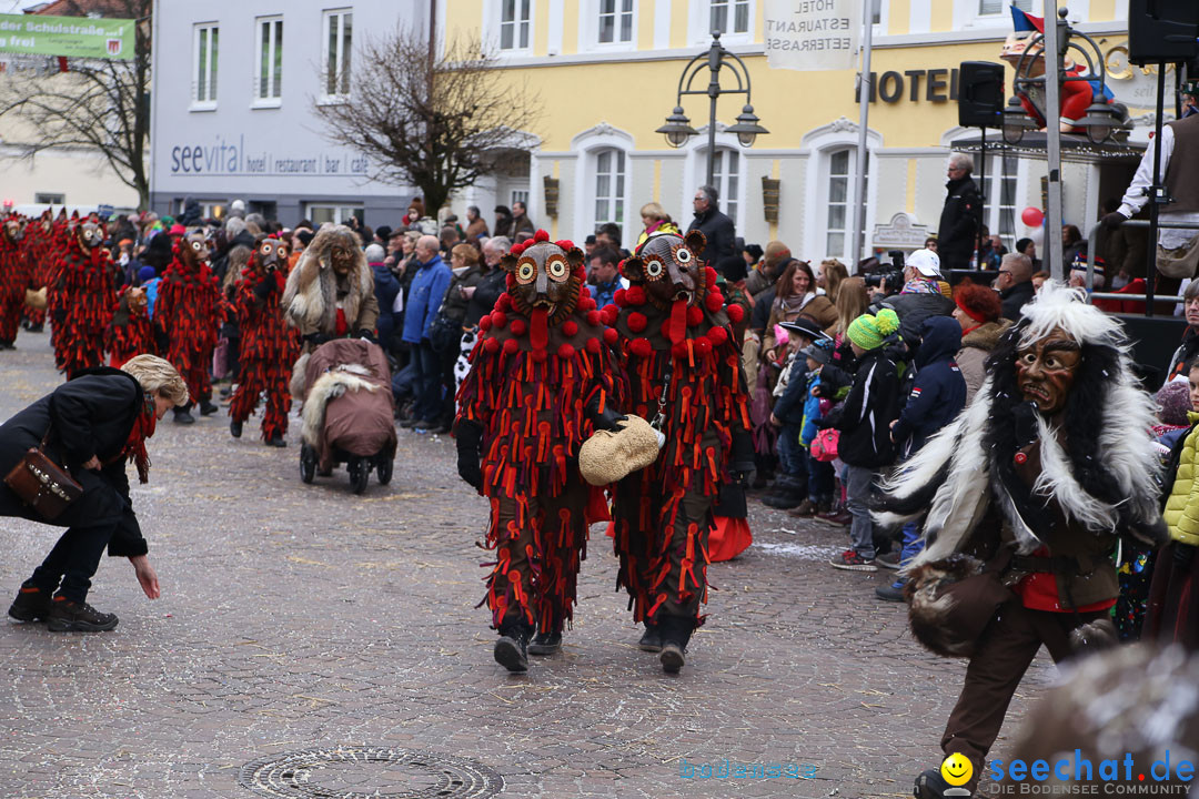 Narrensprung: Langenargen am Bodensee, 19.01.2014