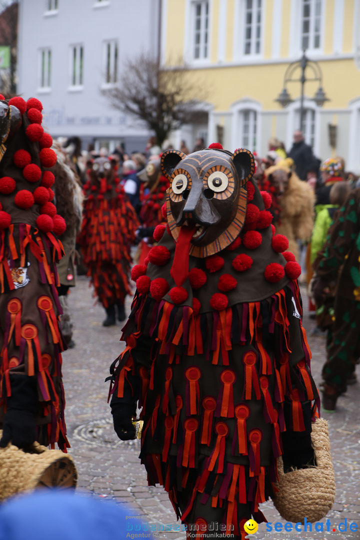 Narrensprung: Langenargen am Bodensee, 19.01.2014