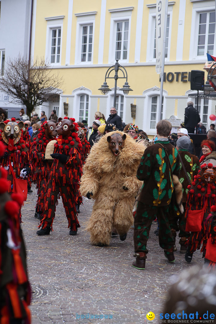 Narrensprung: Langenargen am Bodensee, 19.01.2014