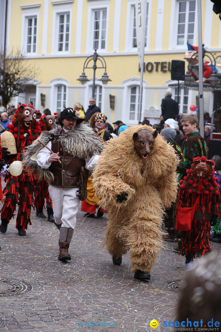 Narrensprung: Langenargen am Bodensee, 19.01.2014