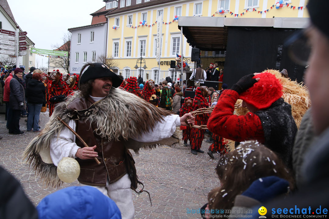 Narrensprung: Langenargen am Bodensee, 19.01.2014