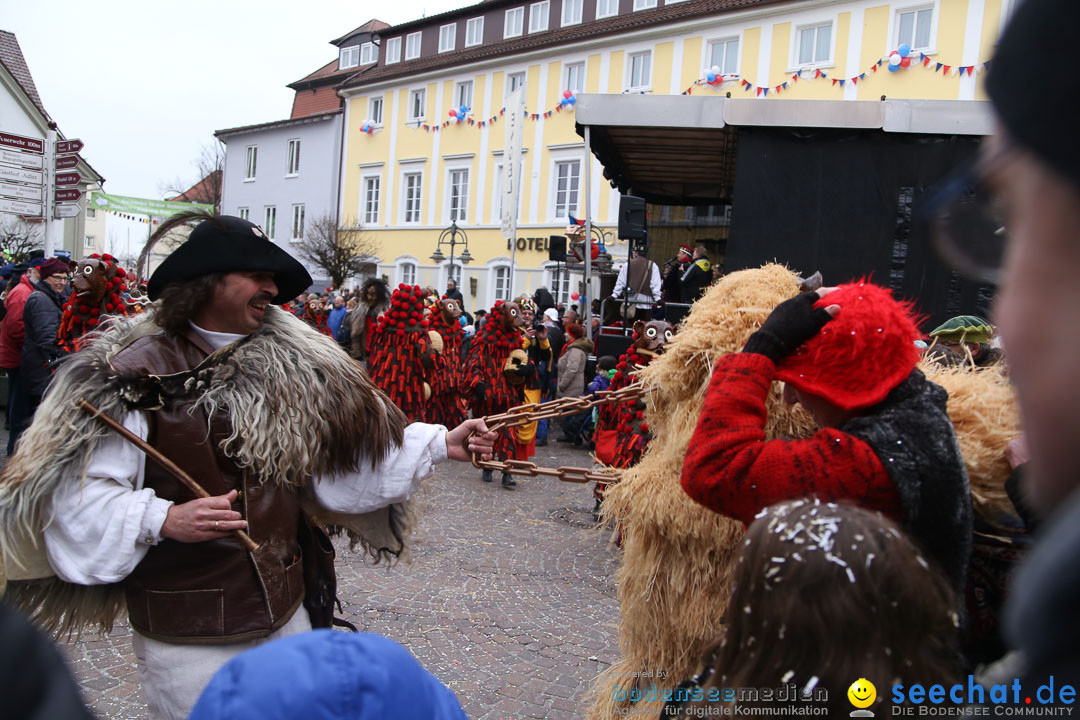 Narrensprung: Langenargen am Bodensee, 19.01.2014