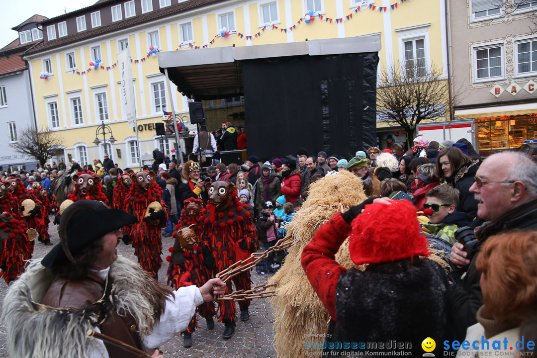 Narrensprung: Langenargen am Bodensee, 19.01.2014