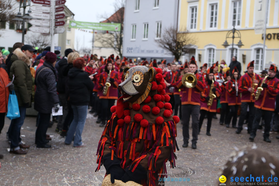 Narrensprung: Langenargen am Bodensee, 19.01.2014