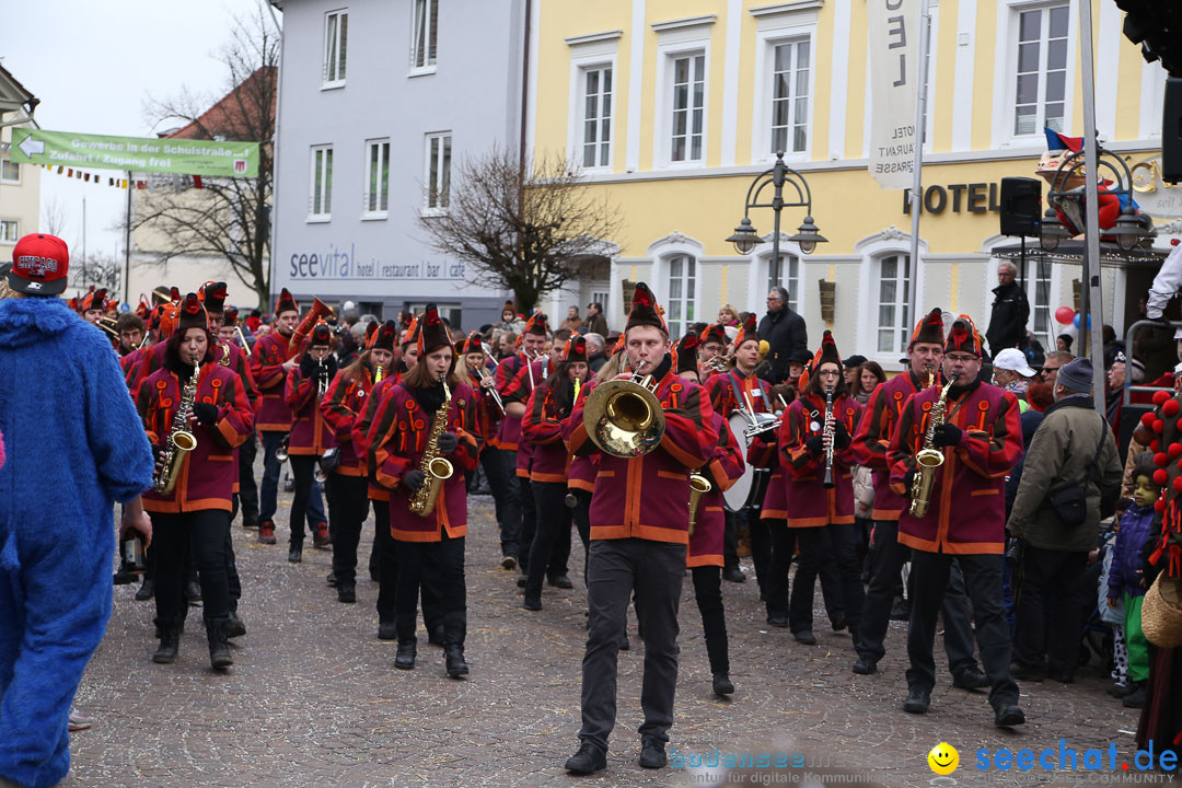 Narrensprung: Langenargen am Bodensee, 19.01.2014