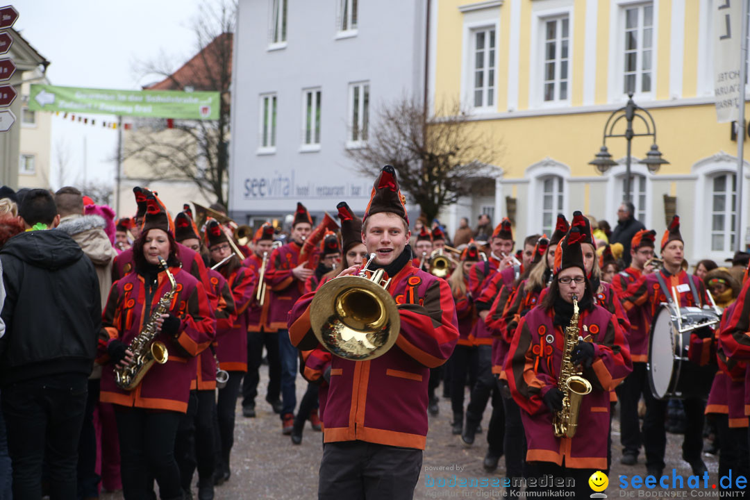 Narrensprung: Langenargen am Bodensee, 19.01.2014