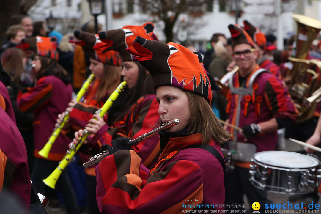 Narrensprung: Langenargen am Bodensee, 19.01.2014