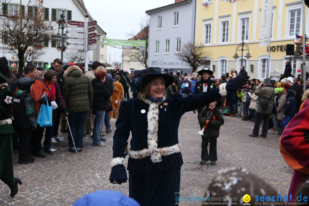 Narrensprung: Langenargen am Bodensee, 19.01.2014