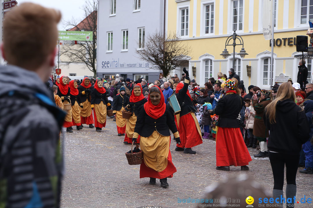 Narrensprung: Langenargen am Bodensee, 19.01.2014