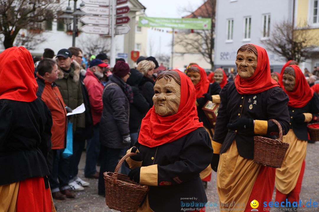 Narrensprung: Langenargen am Bodensee, 19.01.2014