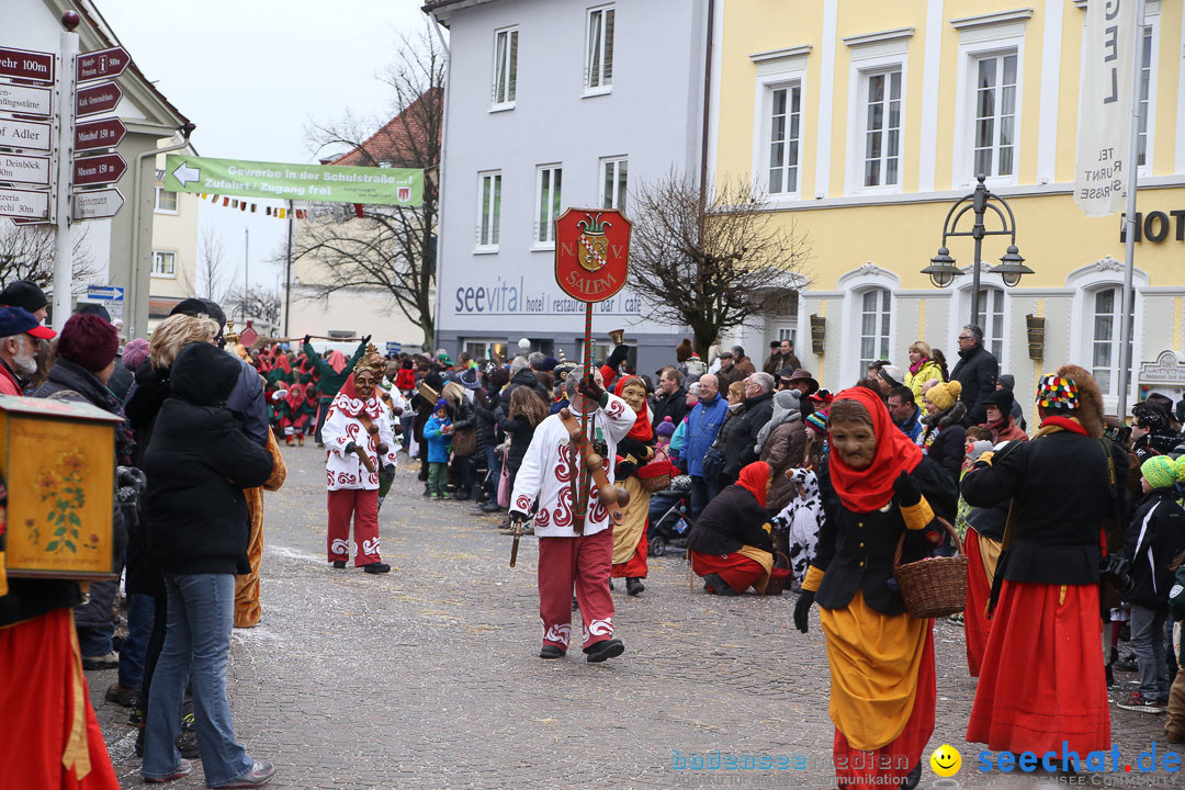 Narrensprung: Langenargen am Bodensee, 19.01.2014