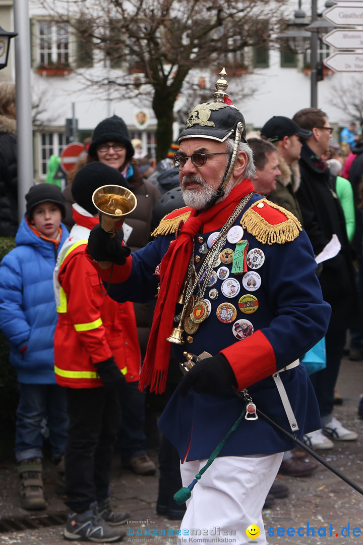 Narrensprung: Langenargen am Bodensee, 19.01.2014