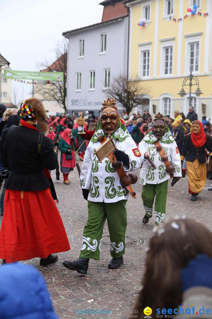 Narrensprung: Langenargen am Bodensee, 19.01.2014