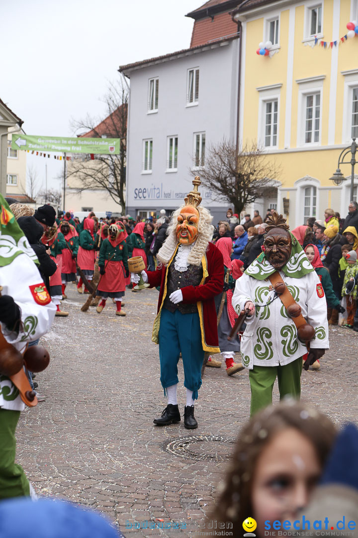 Narrensprung: Langenargen am Bodensee, 19.01.2014