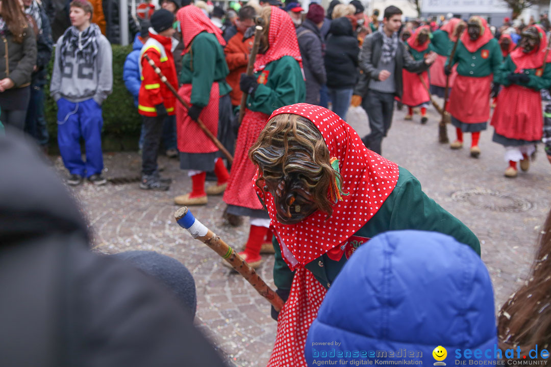 Narrensprung: Langenargen am Bodensee, 19.01.2014