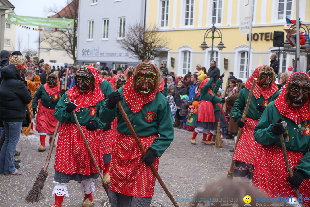 Narrensprung: Langenargen am Bodensee, 19.01.2014