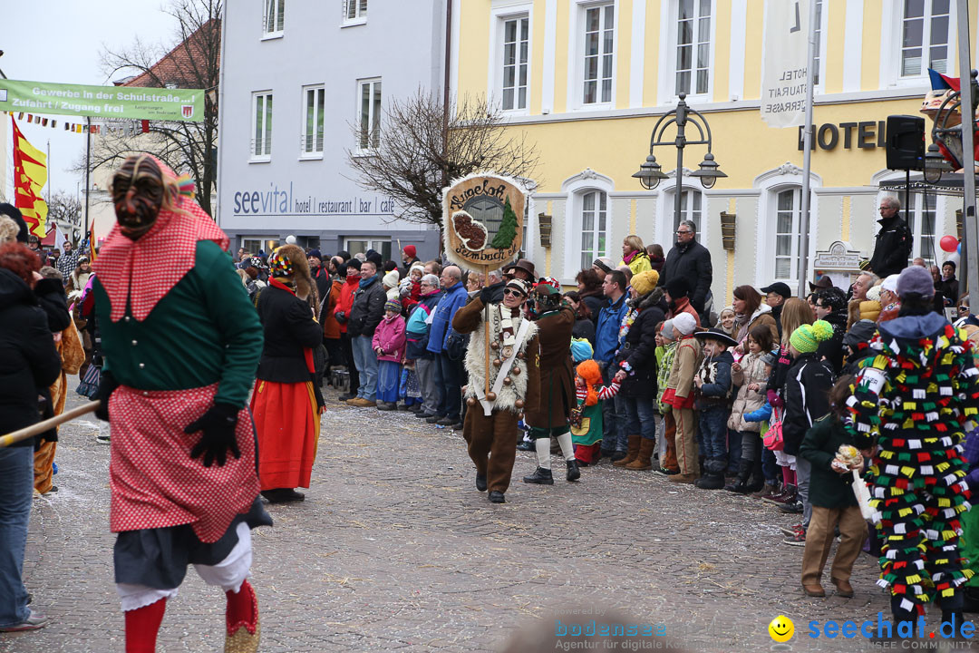 Narrensprung: Langenargen am Bodensee, 19.01.2014