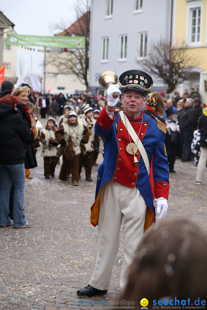 Narrensprung: Langenargen am Bodensee, 19.01.2014