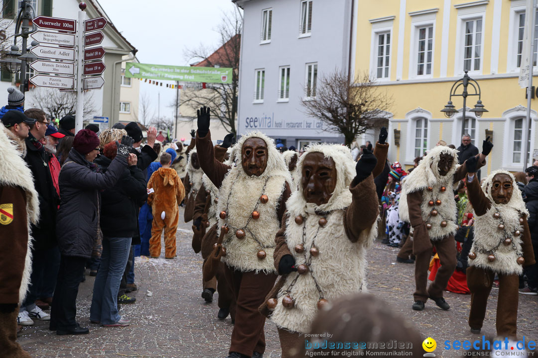 Narrensprung: Langenargen am Bodensee, 19.01.2014