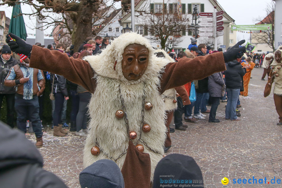 Narrensprung: Langenargen am Bodensee, 19.01.2014