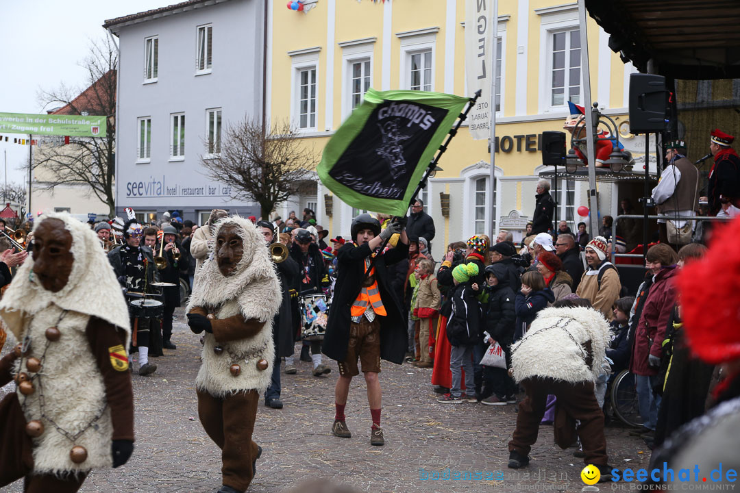 Narrensprung: Langenargen am Bodensee, 19.01.2014