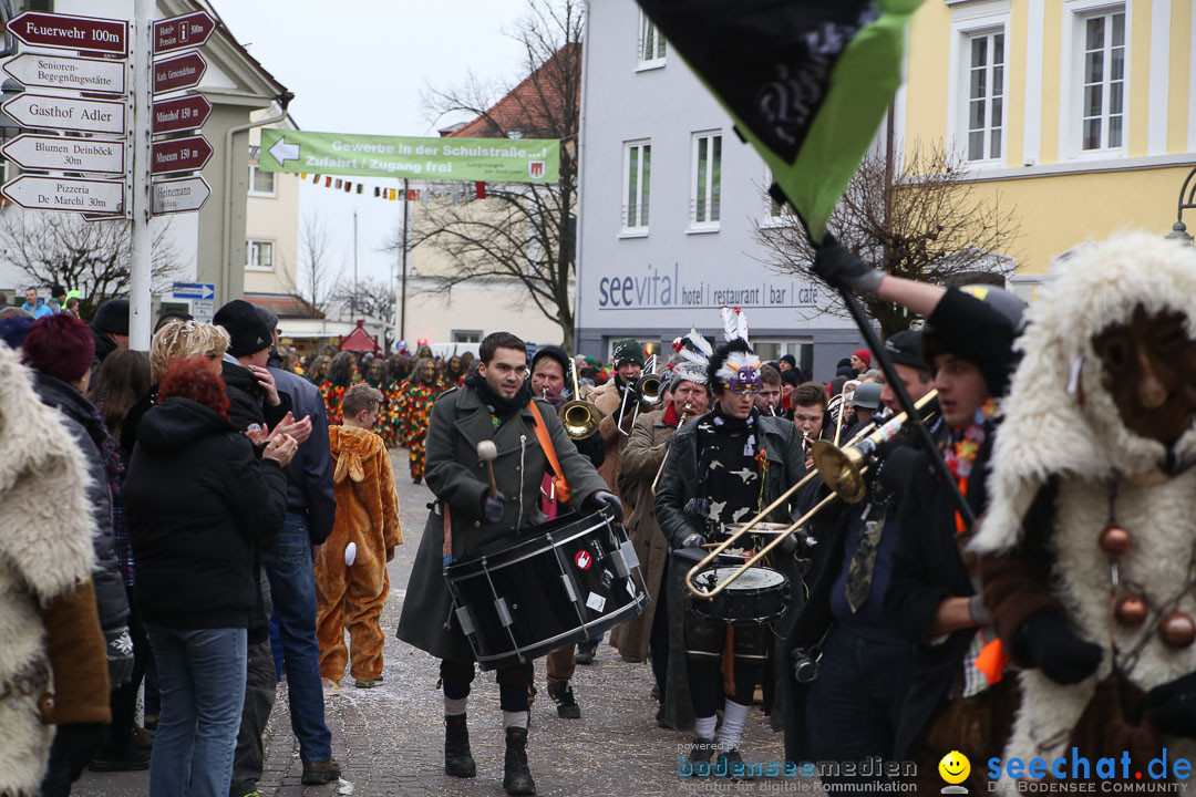 Narrensprung: Langenargen am Bodensee, 19.01.2014