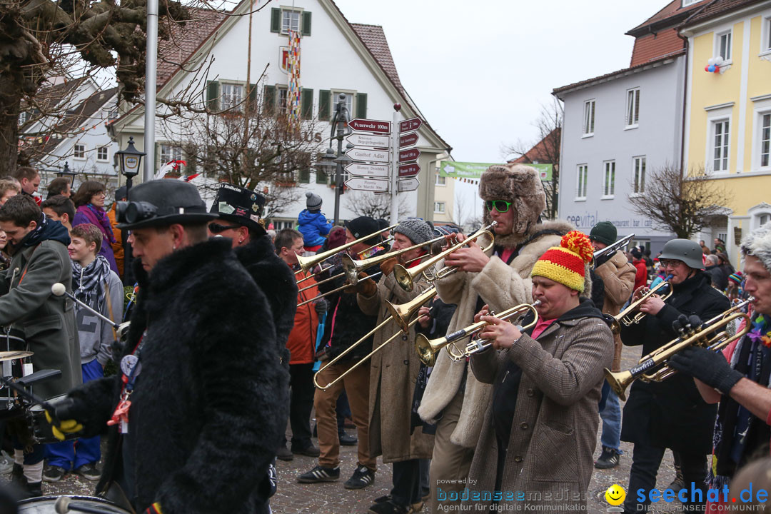 Narrensprung: Langenargen am Bodensee, 19.01.2014