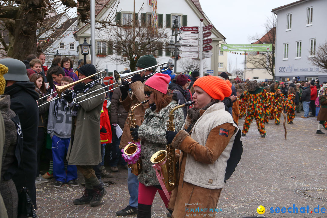 Narrensprung: Langenargen am Bodensee, 19.01.2014