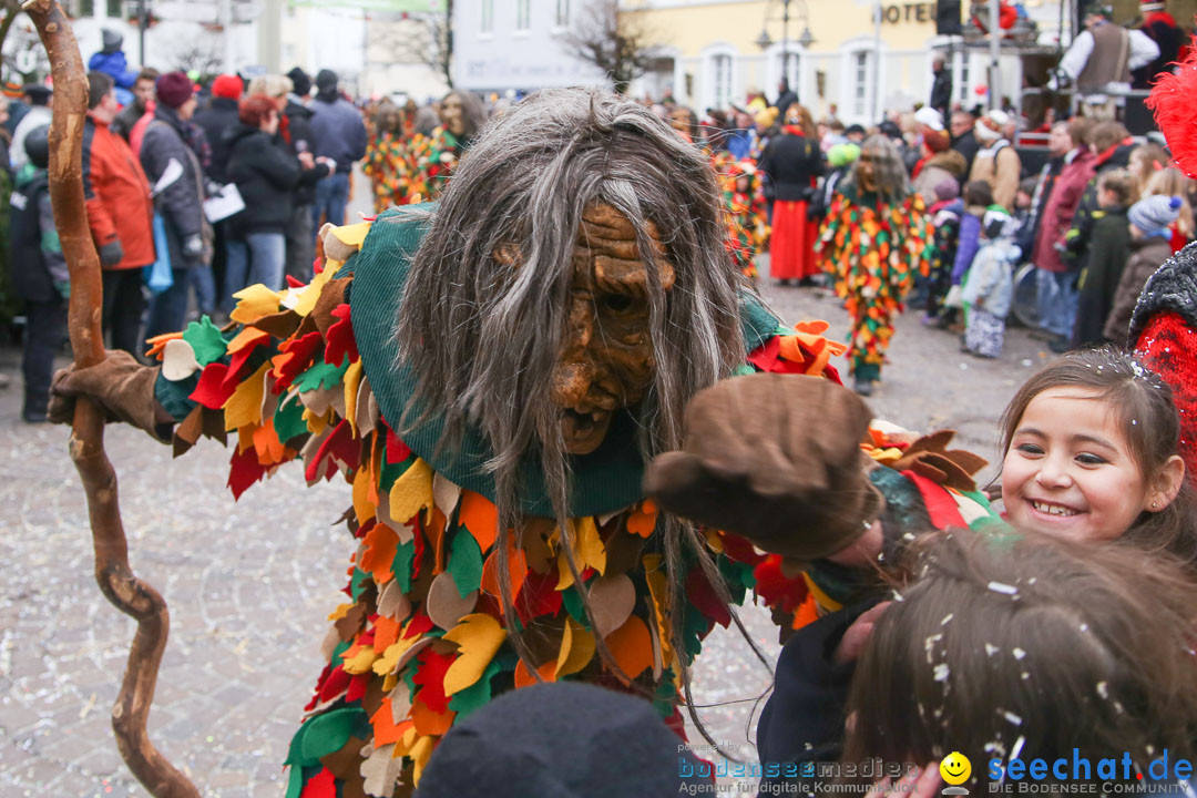 Narrensprung: Langenargen am Bodensee, 19.01.2014