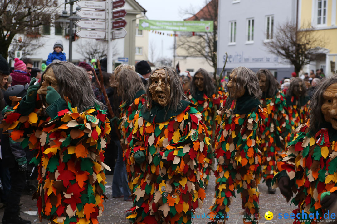 Narrensprung: Langenargen am Bodensee, 19.01.2014