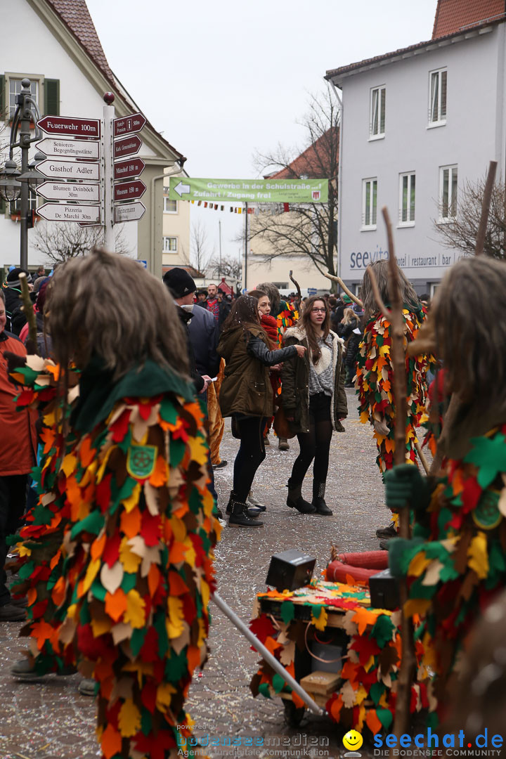 Narrensprung: Langenargen am Bodensee, 19.01.2014