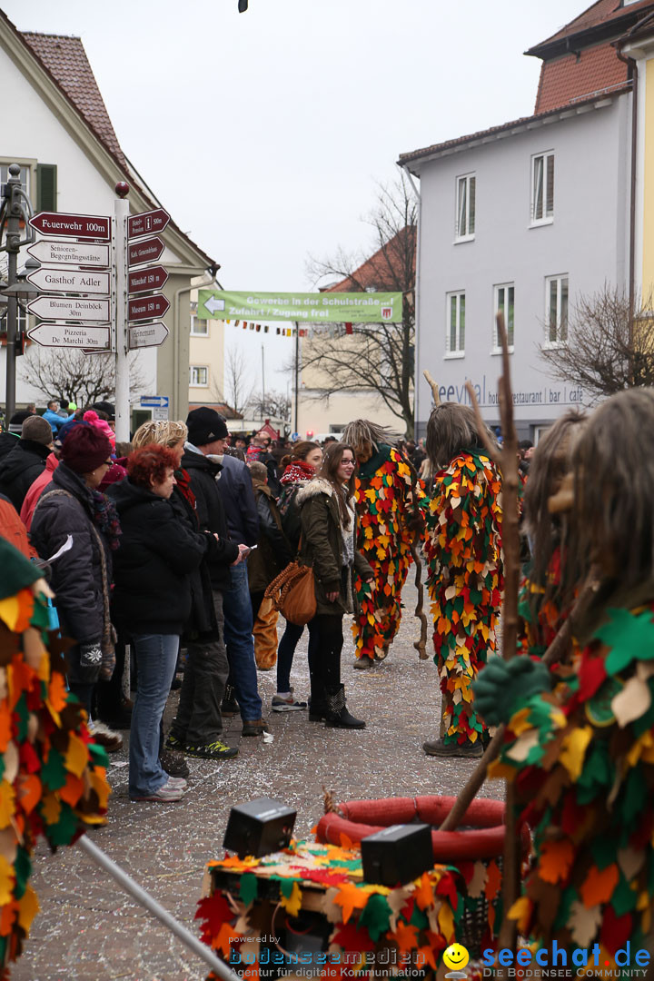 Narrensprung: Langenargen am Bodensee, 19.01.2014