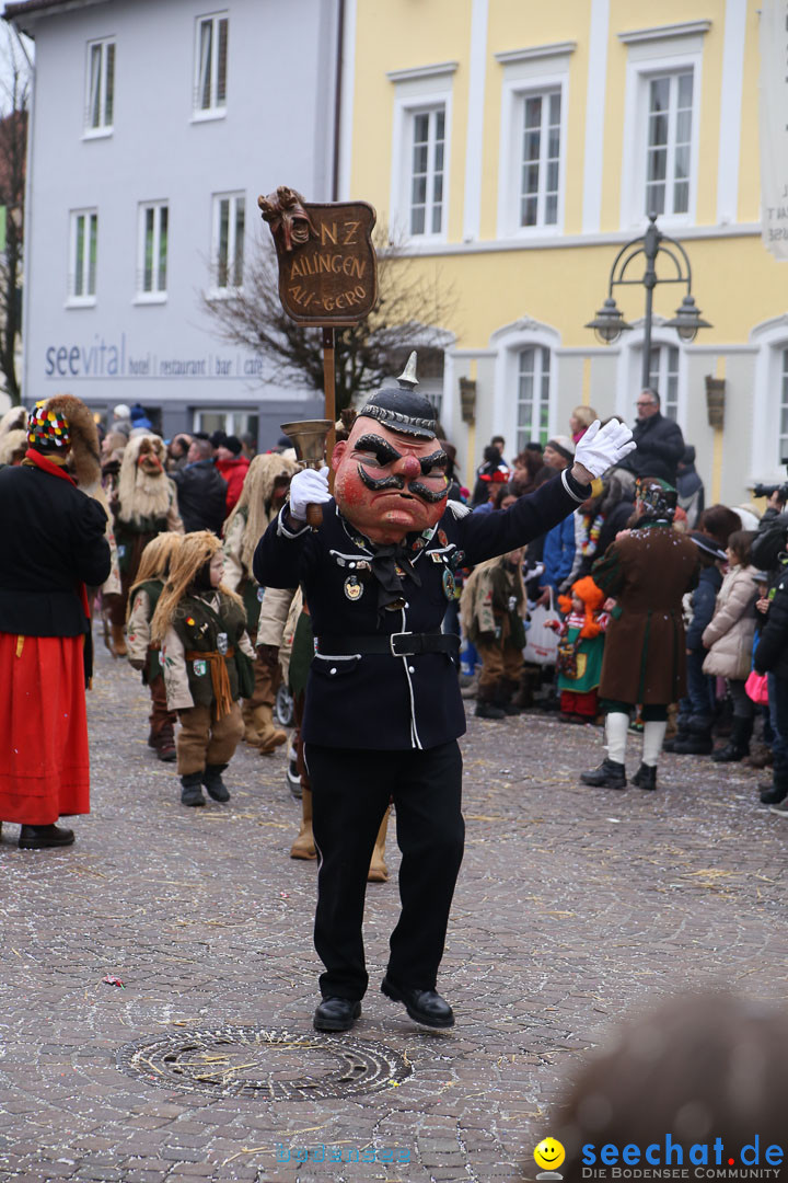 Narrensprung: Langenargen am Bodensee, 19.01.2014