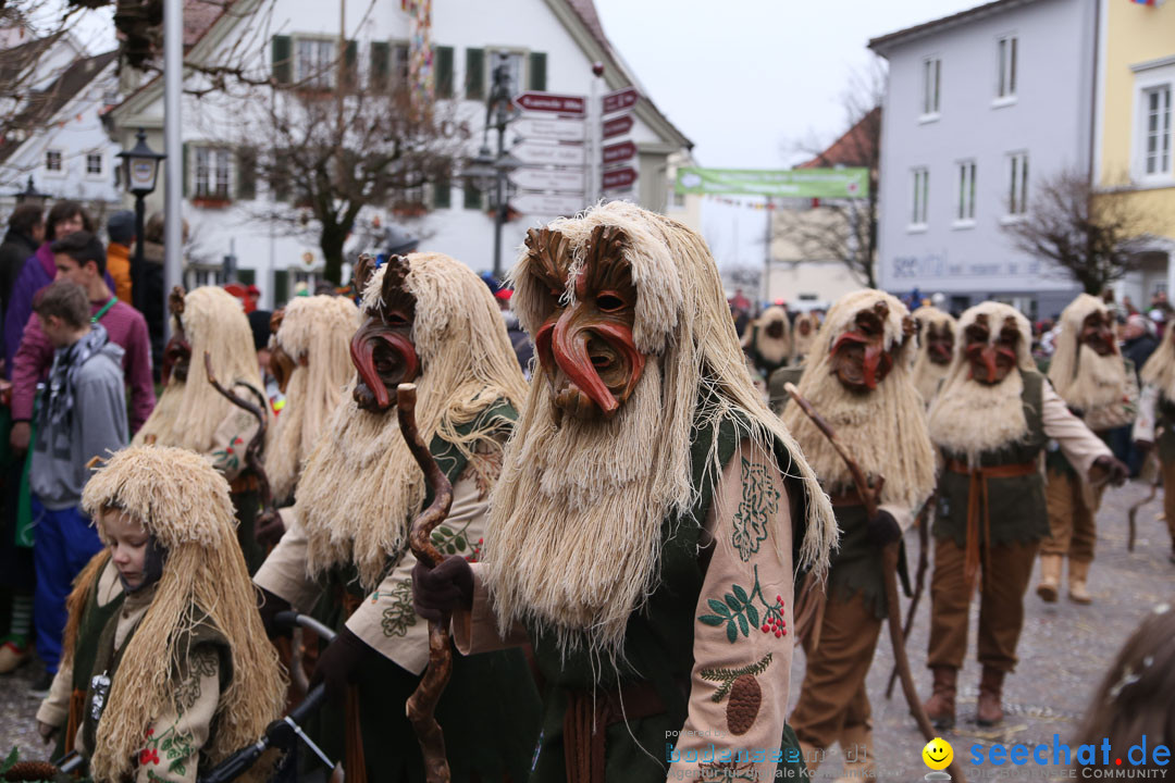 Narrensprung: Langenargen am Bodensee, 19.01.2014