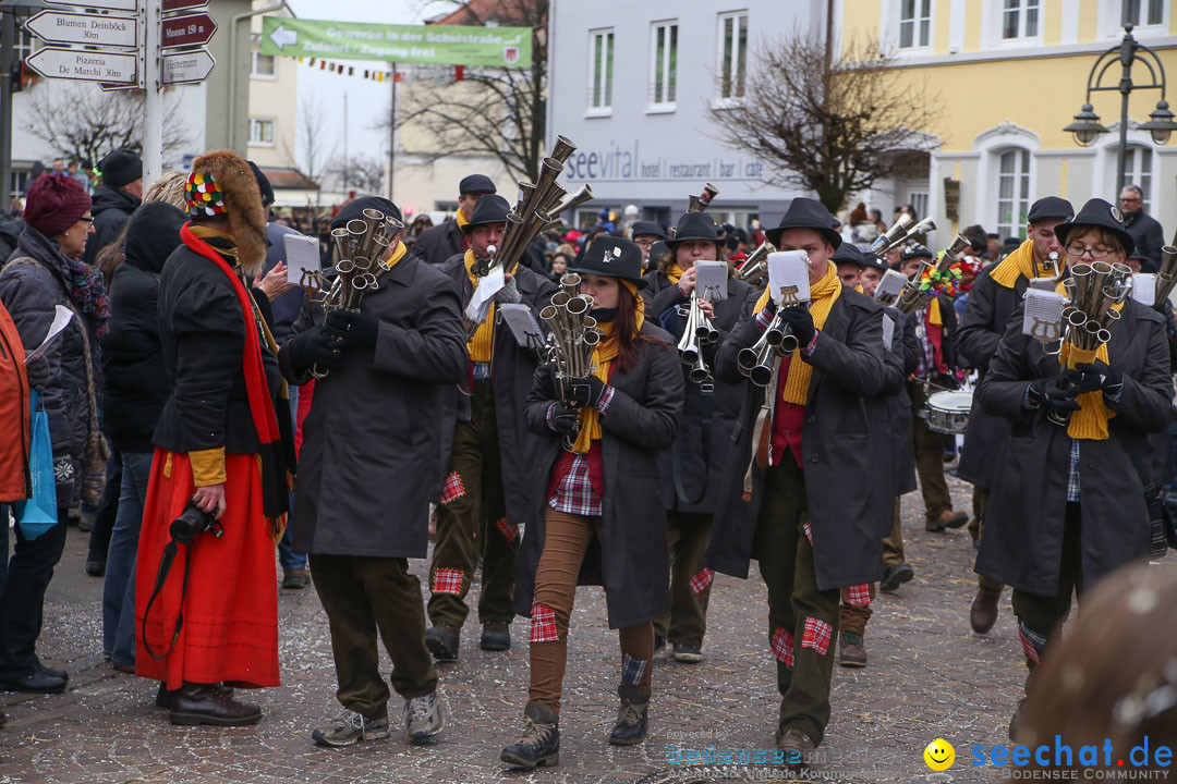 Narrensprung: Langenargen am Bodensee, 19.01.2014