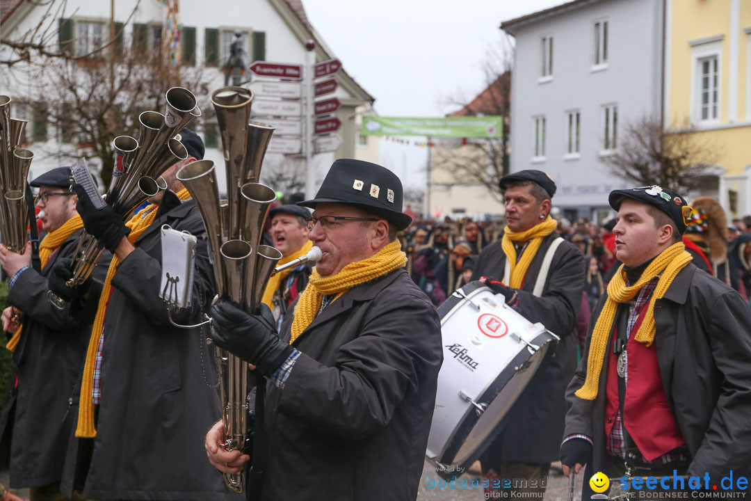 Narrensprung: Langenargen am Bodensee, 19.01.2014