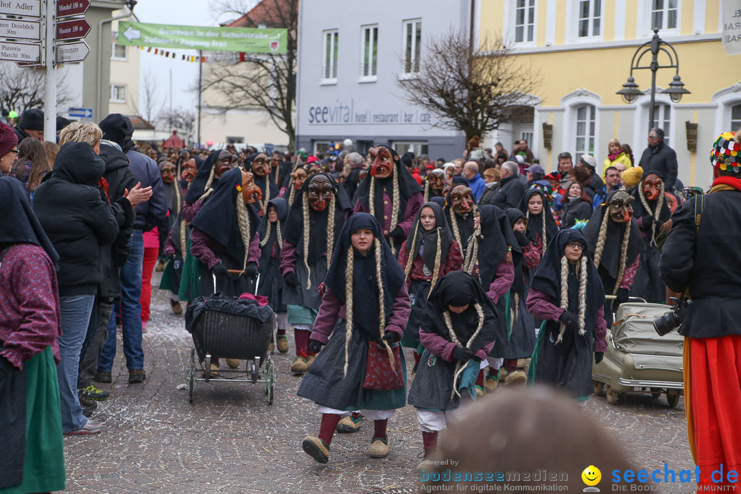 Narrensprung: Langenargen am Bodensee, 19.01.2014