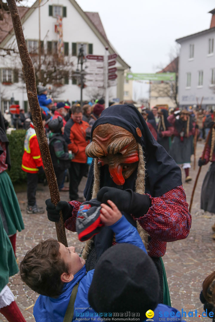 Narrensprung: Langenargen am Bodensee, 19.01.2014