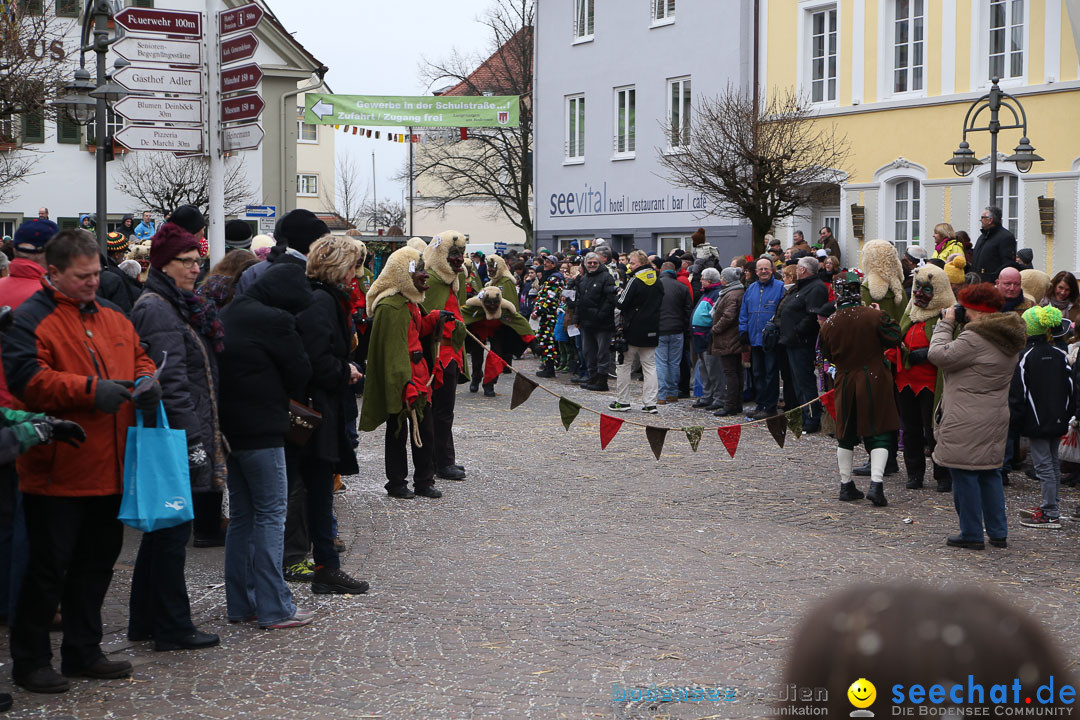 Narrensprung: Langenargen am Bodensee, 19.01.2014