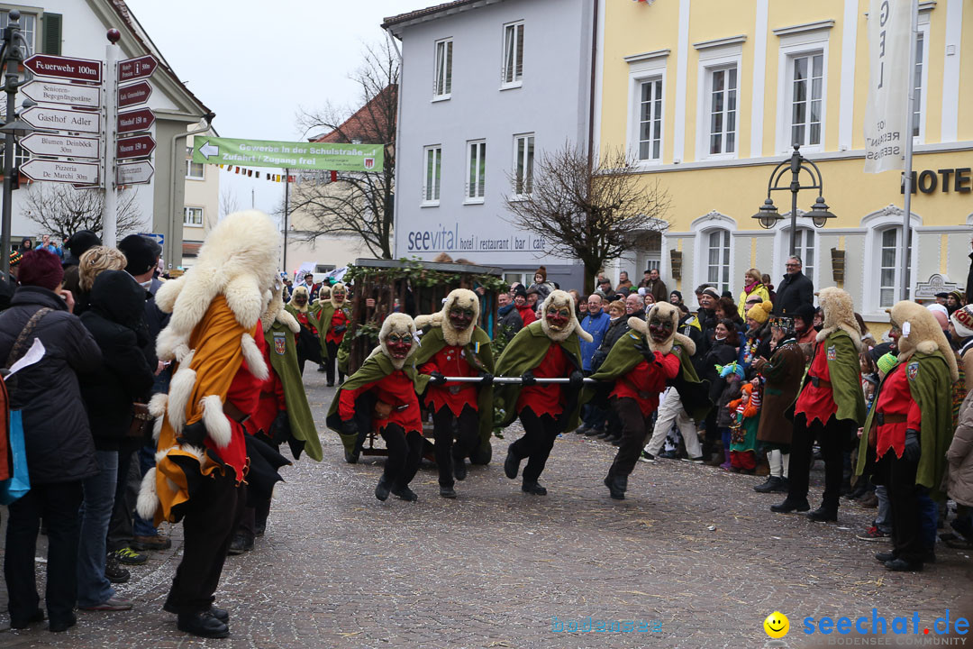 Narrensprung: Langenargen am Bodensee, 19.01.2014