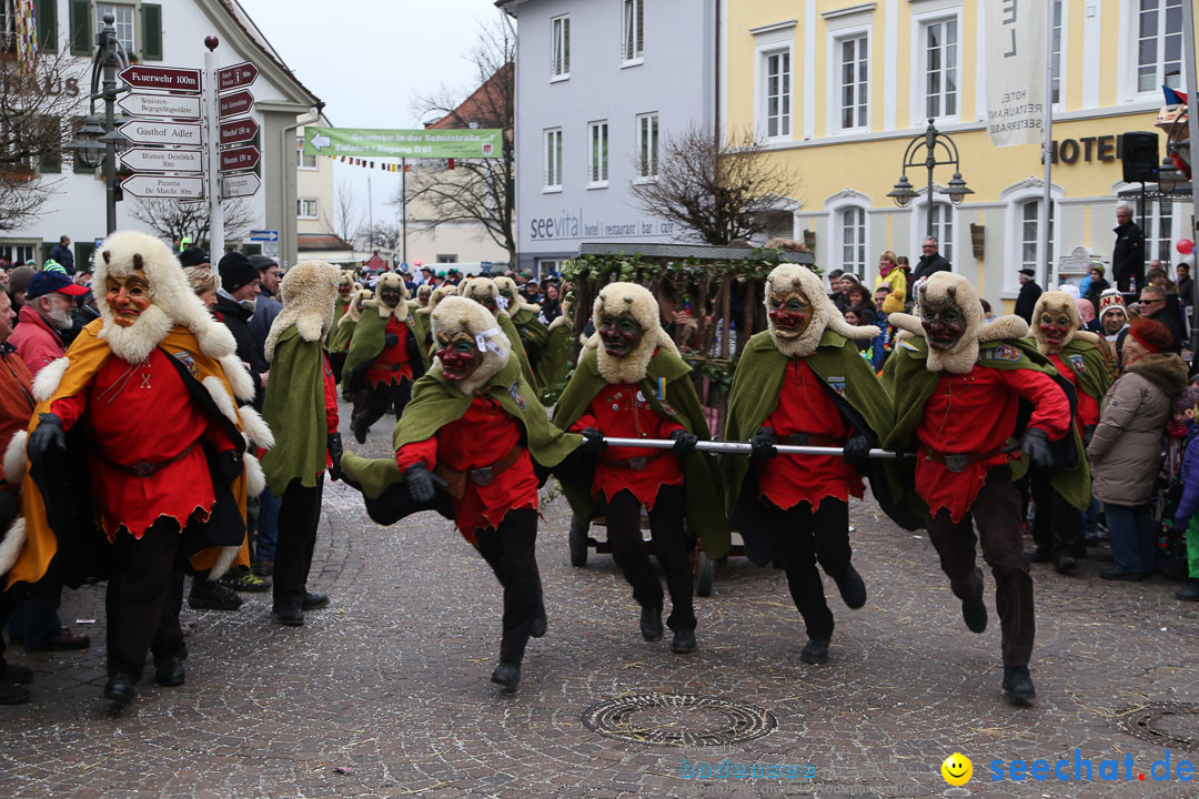 Narrensprung: Langenargen am Bodensee, 19.01.2014