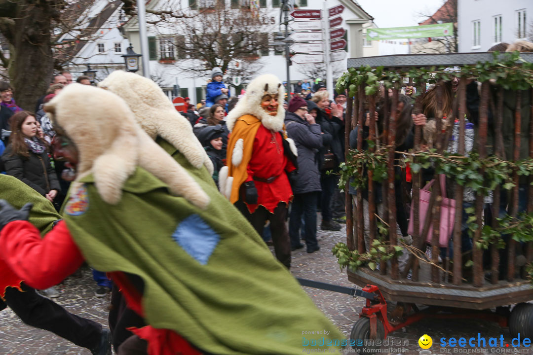 Narrensprung: Langenargen am Bodensee, 19.01.2014