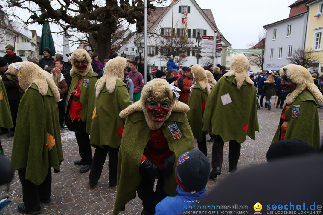 Narrensprung: Langenargen am Bodensee, 19.01.2014